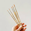 Watercolor Wood Paintbrush (Set 5)