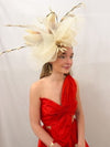 Bella Fascinator
