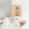 Thick & Thin Greeting Card