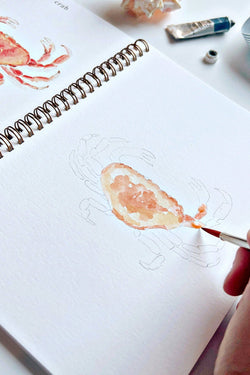 Seaside Watercolor Workbook