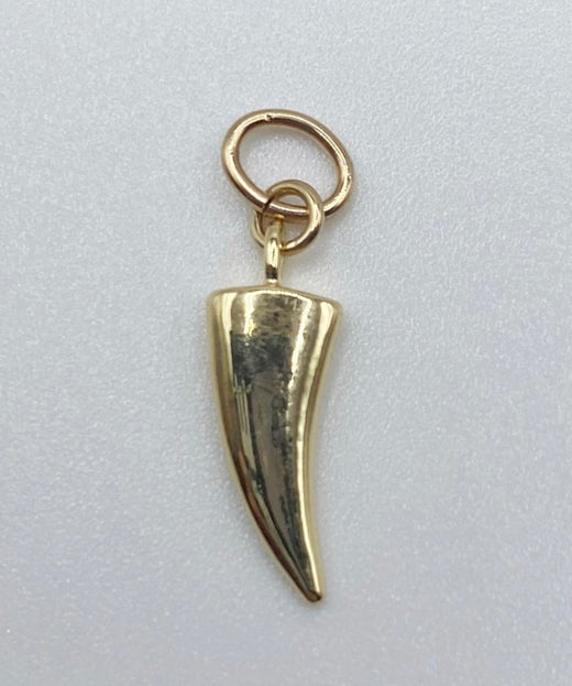 Animal Tooth