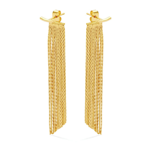 Back Accented Long Earrings