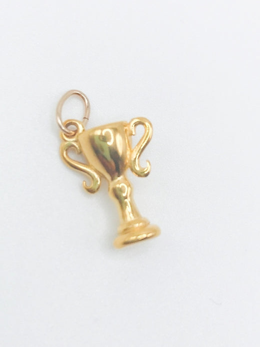 Trophy Charm