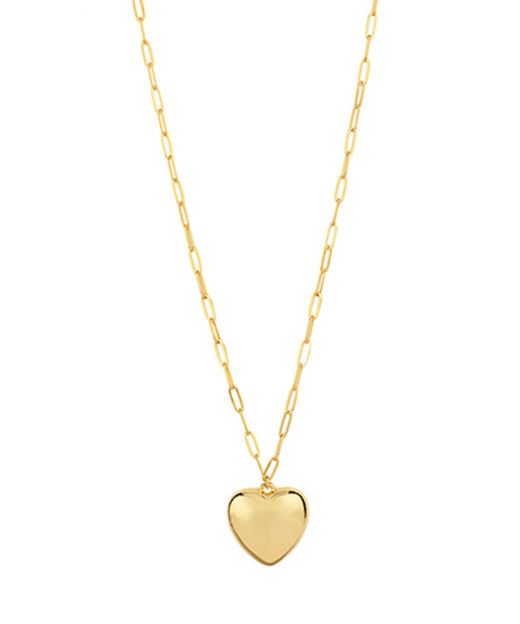 Bold Heart & Chain Long Necklace