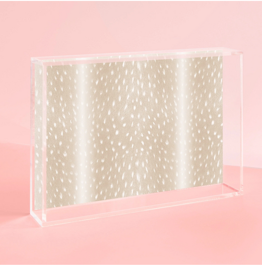 Acrylic Small Trays