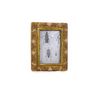 Small Florentine Pink Frame
