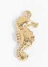 Seahorse