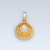 Pearl Clam Sea Shell
