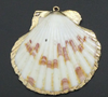 Clam Shell
