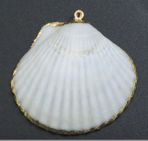 Clam Shell