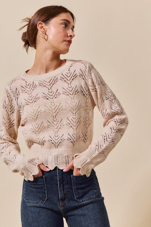 Pointelle Knit Long Sleeve Sweater Top