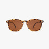Bean Classic Tortoise Sunglasses