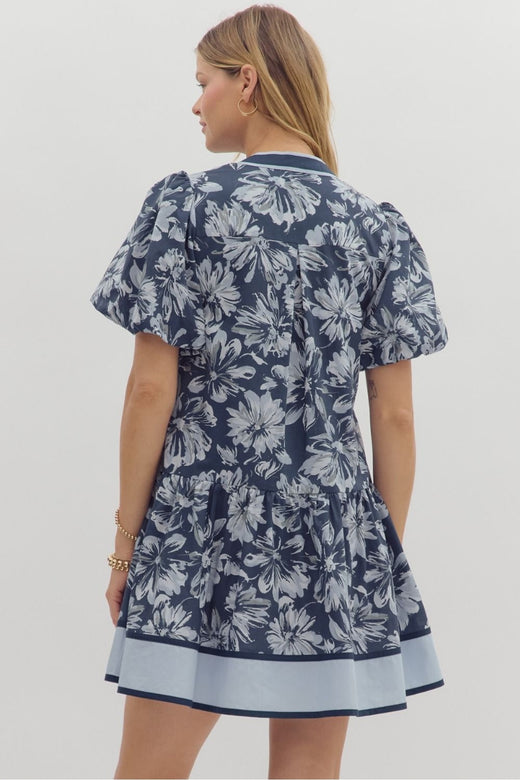 Double Blue Dress