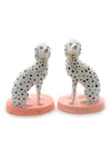 Cody Foster, Spotted Dalmatian (Single Dog)