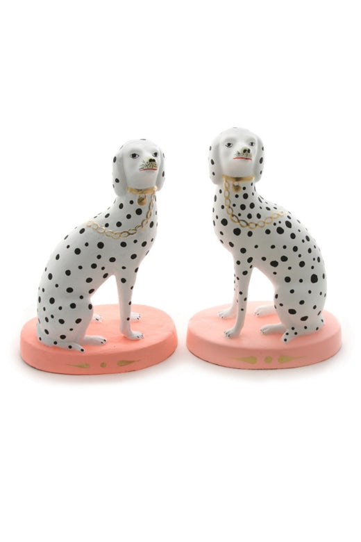 Cody Foster, Spotted Dalmatian (Single Dog)