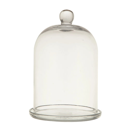 Glass Cloche with Plate