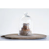 Glass Cloche with Plate