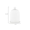 Glass Cloche with Plate