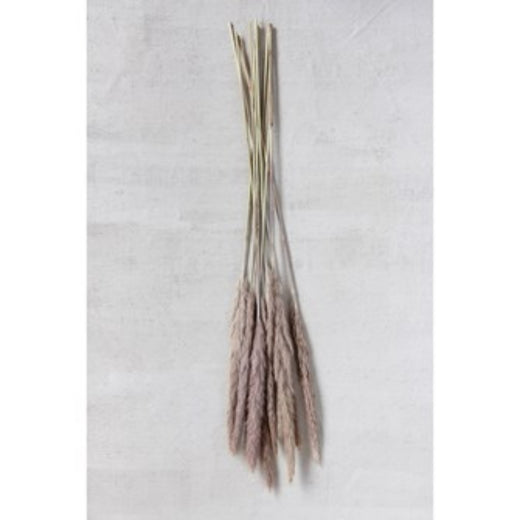 Dried Natural Fountain Grass Bunch