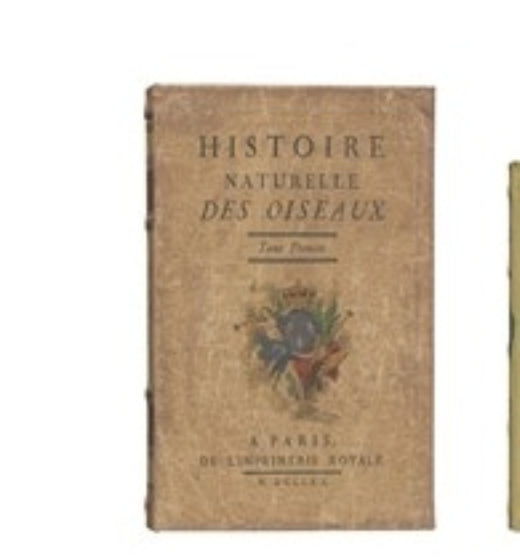 Histoire Naturelle Wood Storage Box