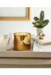 Frasier Fir Gold 3-Wick Candle