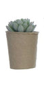 Faux Succulent in Paper Pot