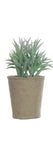 Faux Succulent in Paper Pot