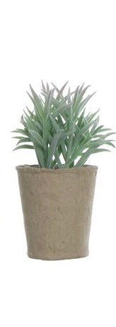 Faux Succulent in Paper Pot