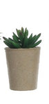 Faux Succulent in Paper Pot