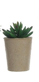 Faux Succulent in Paper Pot