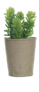 Faux Succulent in Paper Pot
