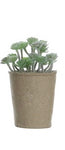 Faux Succulent in Paper Pot