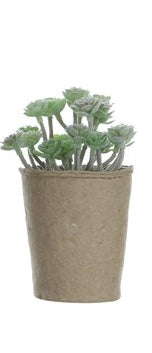 Faux Succulent in Paper Pot
