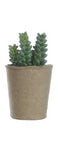 Faux Succulent in Paper Pot