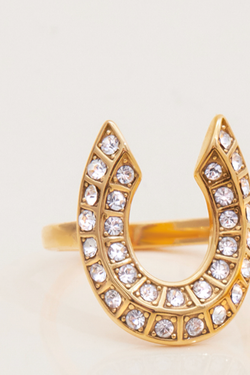 Lucky Horseshoe CZ Ring, 14K Steel 