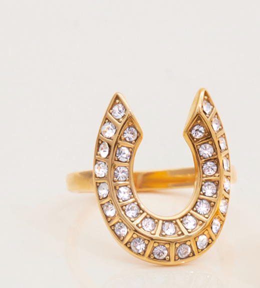 Lucky Horseshoe CZ Ring, 14K Steel 