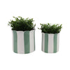 Striped Planters