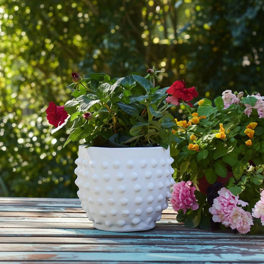 Ceramic Raised Dot Planter