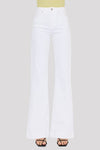 High Rise Wide Flare Jean