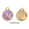 Zodiac Charm - 18K Gold PVD Epoxy