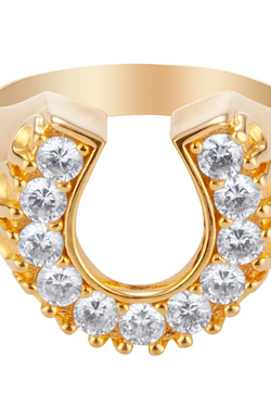 Lucky Horseshoe Signet RIng