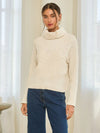 Ribbed Turtleneck Sweater