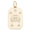 Zodiac Charms