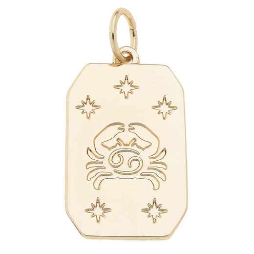 Zodiac Charms