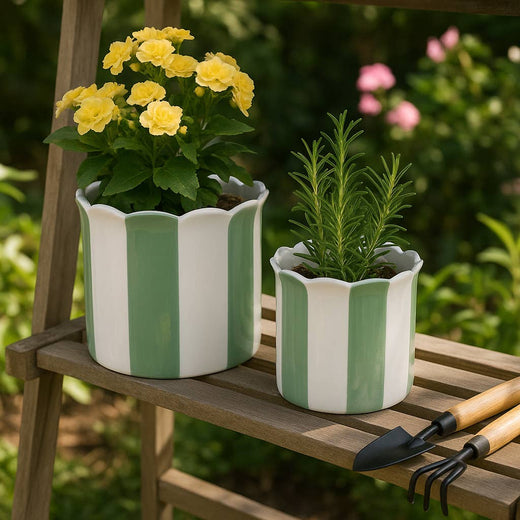 Striped Planters