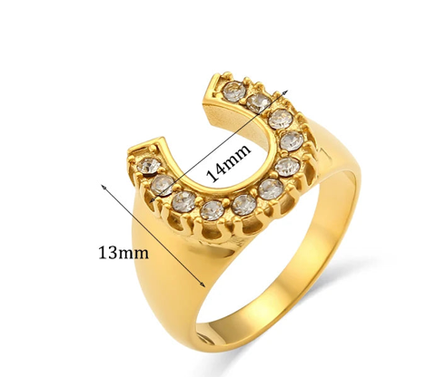 Lucky Horseshoe Signet RIng