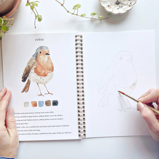 Birds Watercolor Workbook by Emily Lex