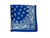 24 x 24 in Bandana