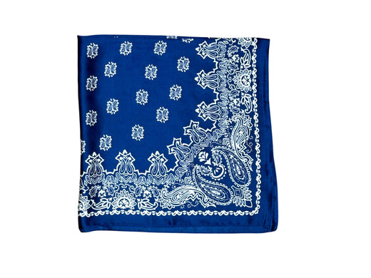 24 x 24 in Bandana