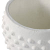 Ceramic Raised Dot Planter
